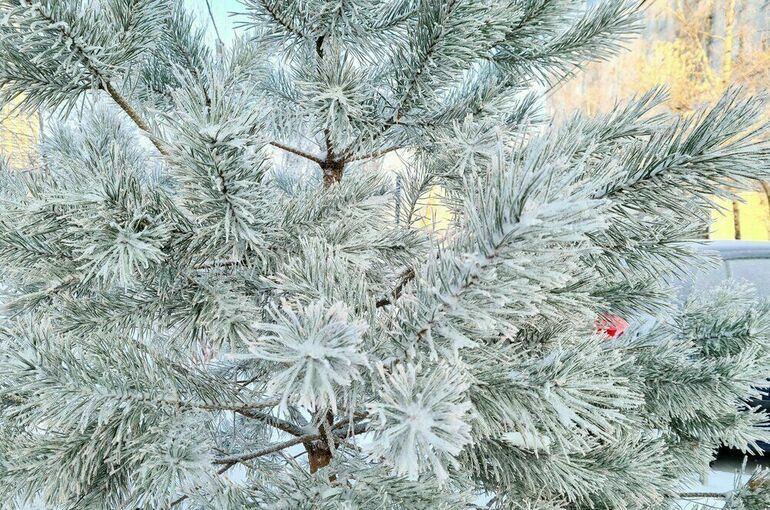 Нынешняя ночь может стать одной из самых холодных в Московском регионе