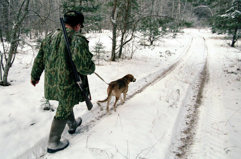Незаконная охота на медведей обернется штрафами до 50 тысяч рублей