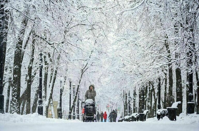 Синоптик предупредил о снегопадах и резком похолодании в Москве