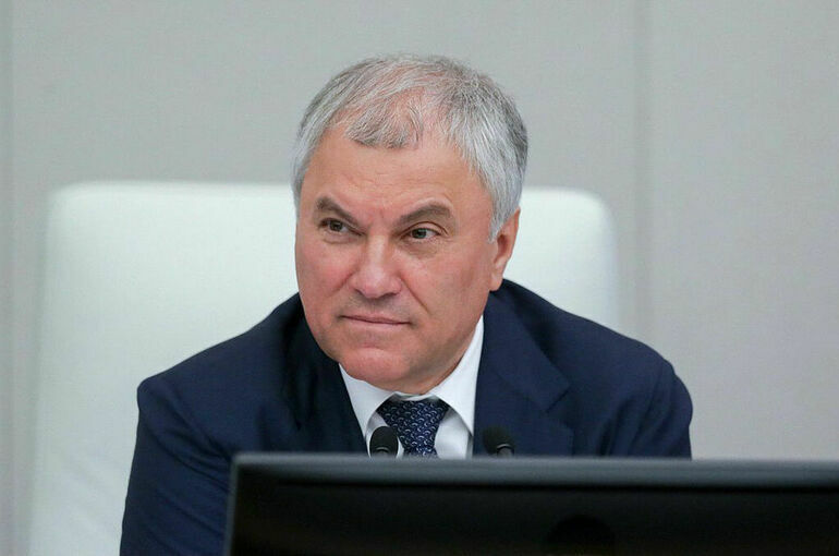 Володин: Госдума 28 января заслушает доклад уполномоченного по правам человека