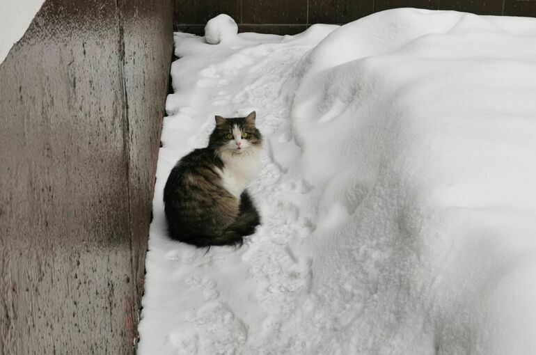 Полуметровые сугробы накроют Москву из-за сильного снегопада 27 и 28 января