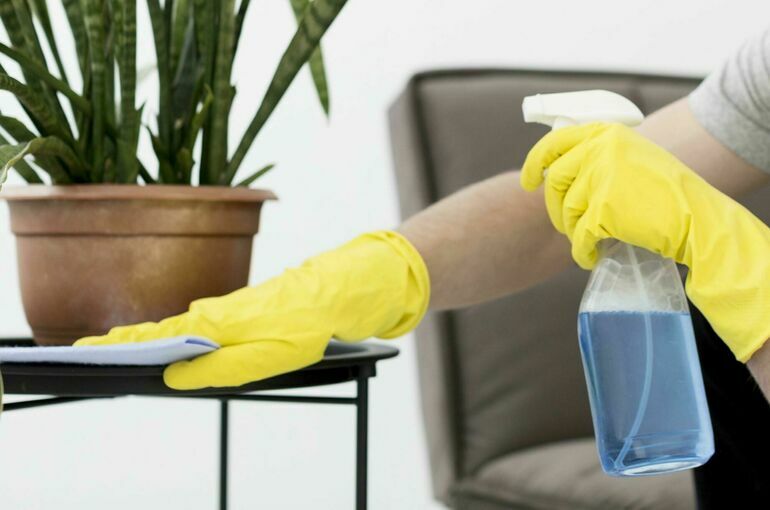 Влажная уборка и дезинфекция помогут быстрее вылечить грипп и ОРВИ