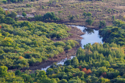Площадь территорий, где тушение лесных пожаров может стать невозможным, сократилась
