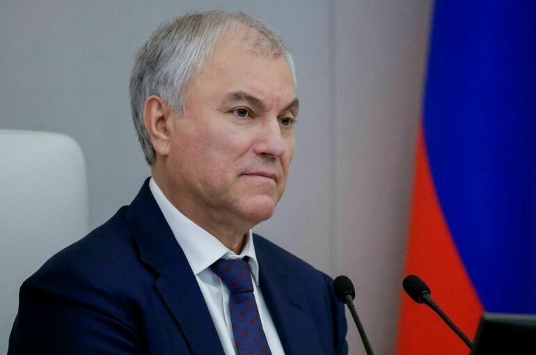 Володин: Москалькова и Памфилова изменили институт Уполномоченного по правам человека