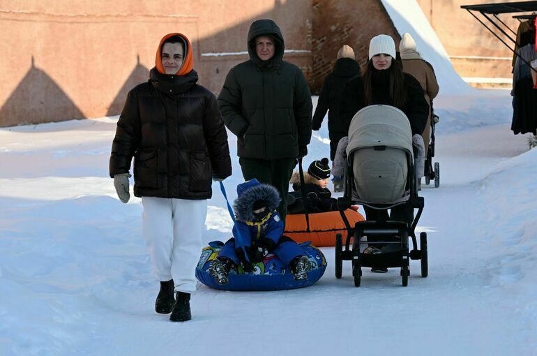 Депутат Бессараб назвала максимальный размер пособия по уходу за ребенком в 2026 году