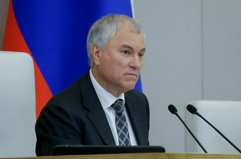 Володин: В России на 25% сократилось количество детей мигрантов 