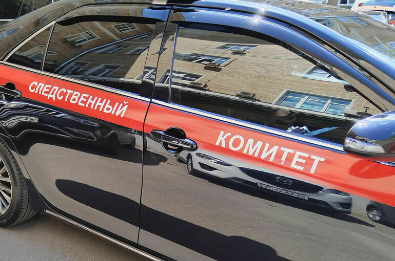 Следствие назвало причину вспышки гриппа в интернате Прокопьевска