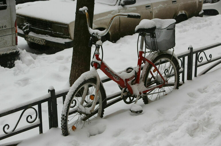 Январь 2026 года в Москве стал самым снежным за двести лет