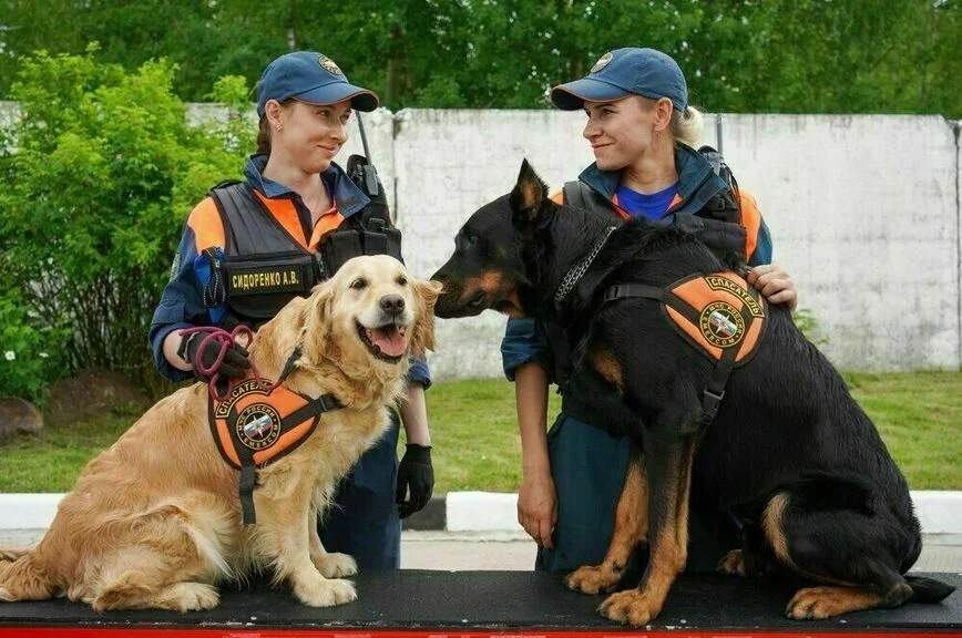 Оленям спасателей МЧС добавят опилок
