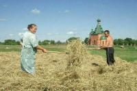 Депутаты Удмуртии предложили упростить назначение старост в селах