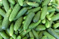 Огурцы с начала года подорожали почти на 43%