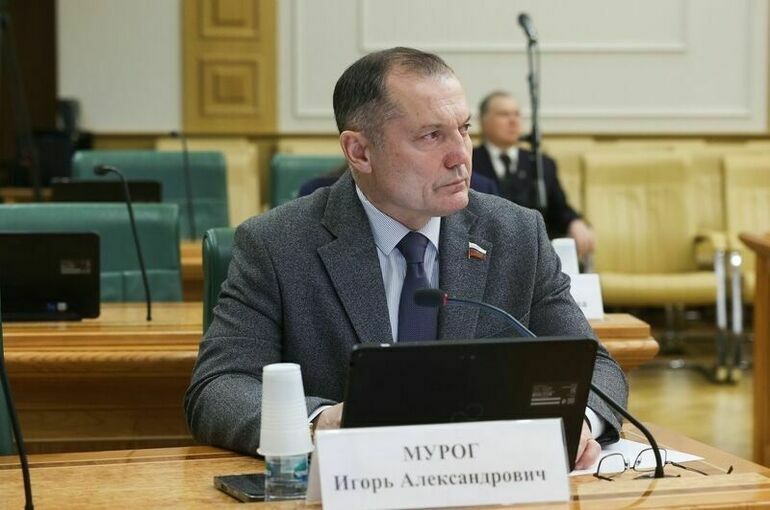 Сенатор Мурог: Школьников необходимо учить финансовой грамотности