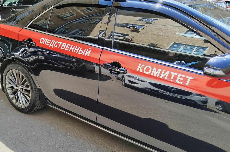 В Петербурге завели уголовное дело о халатности после убийства мальчика