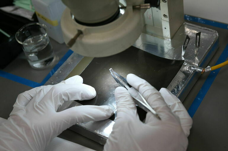 В ЛДПР предложили вернуть надбавки к окладу ученых