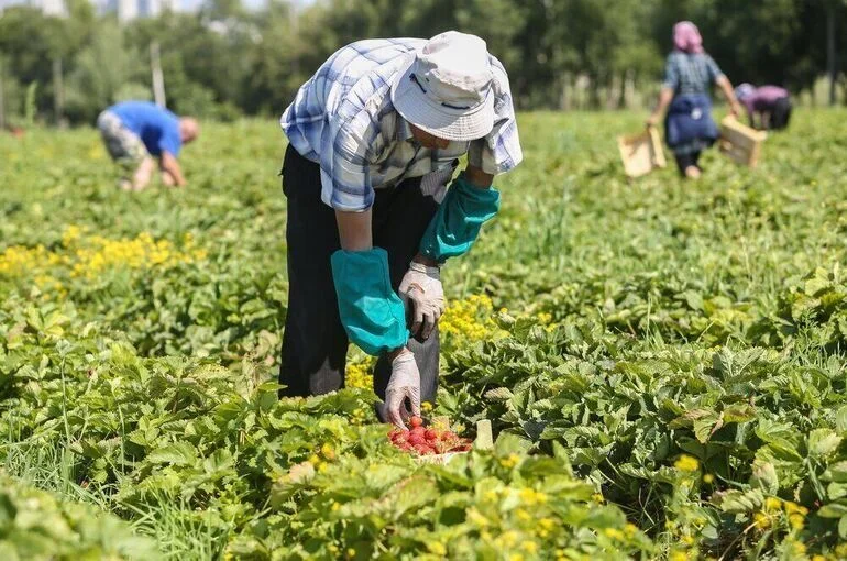 Аграриям станет проще учесть расходы на обучение специалистов