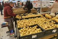 «Коммерсантъ»: На картофель предложили ввести минимальную закупочную цену