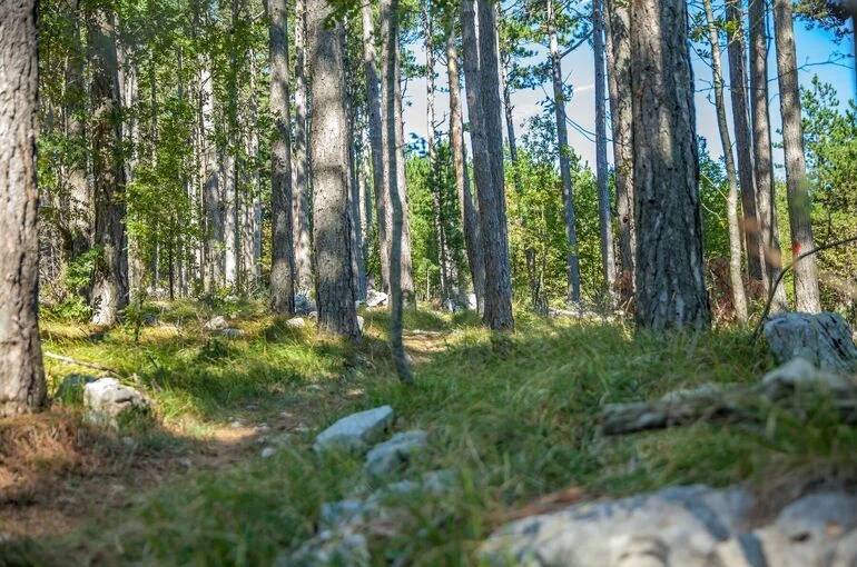 Капитальное строительство отодвинут от Петербурга