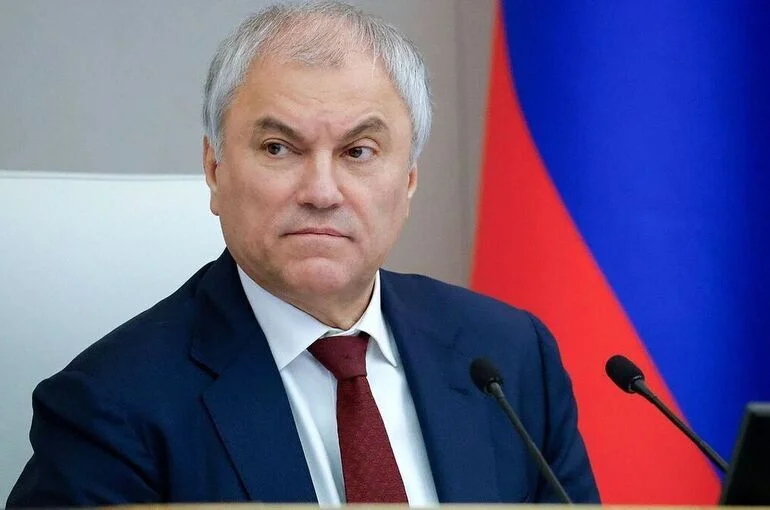 Володин рассказал о новых законопроектах, ужесточающих контроль за миграцией