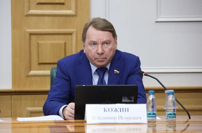 Комитет Совфеда поддержал запрет на выдворение из РФ иностранцев &mdash; участников СВО