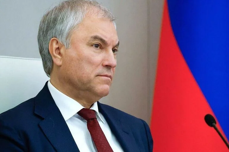 Володин: При совершенствовании миграционной политики кабмин не должен стоять в стороне