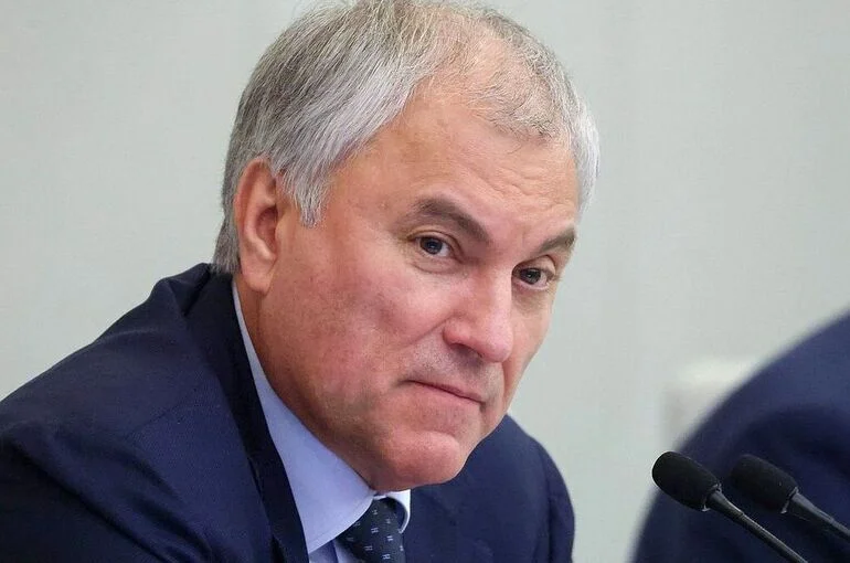 Володин назвал парламентский контроль неотъемлемой частью полномочий депутатов