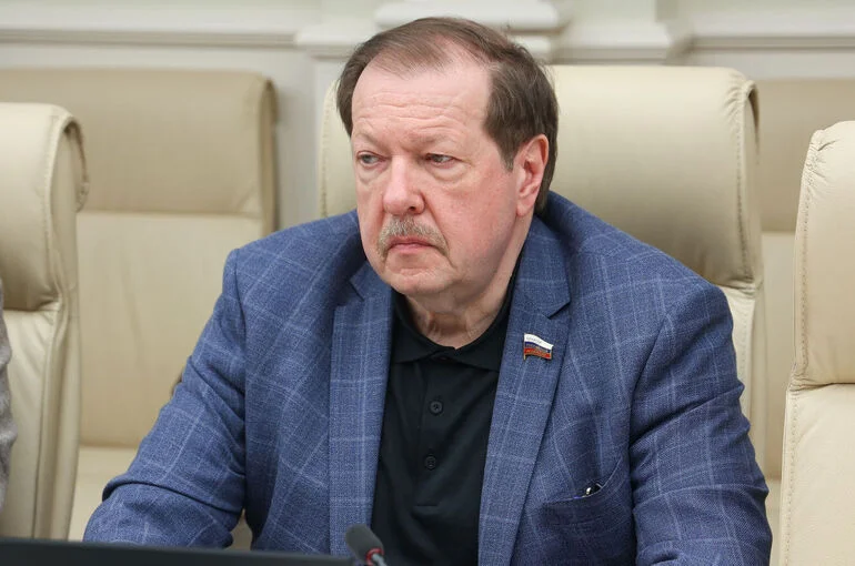 Сенатор назвал важным шагом введение трехуровневой системы оценки поведения школьников