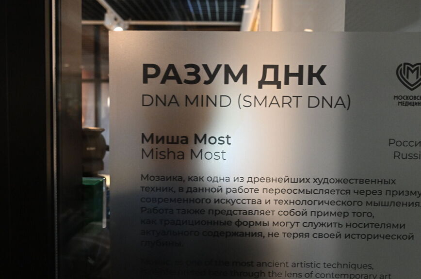 Исцеляющая среда: в московской больнице впервые открыли выставку