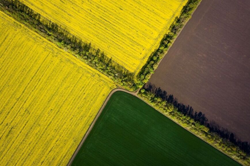 Неиспользуемых сельхозземель в России станет станет меньше