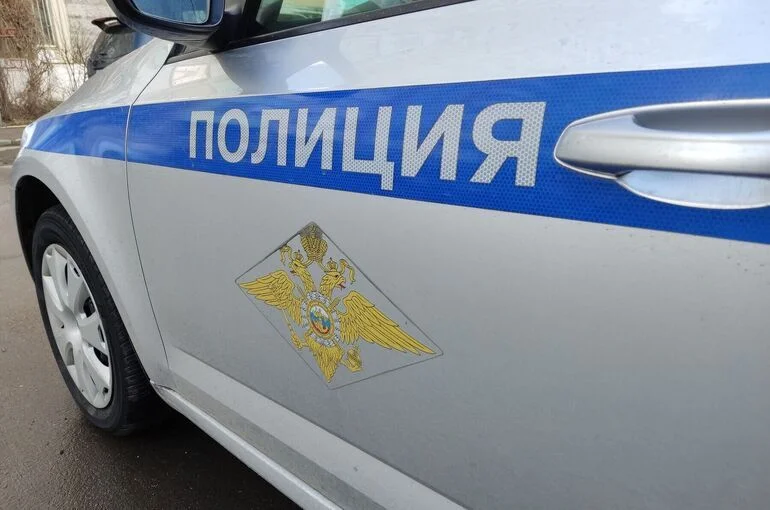В России почти на 40% снизилось число преступлений мигрантов 