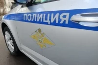 В России почти на 40% снизилось число преступлений мигрантов 