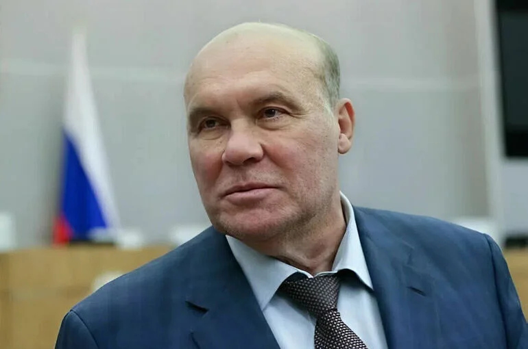 Депутат Колесник допустил атаку НАТО на береговую линию Черного моря в России