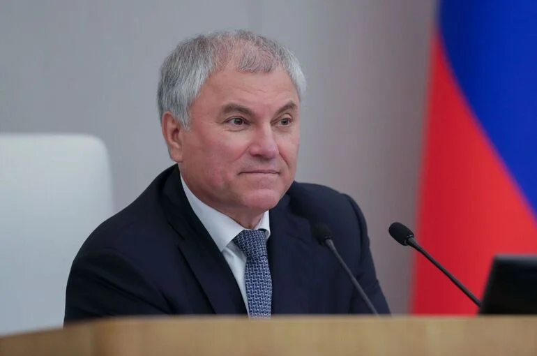 Володин рассказал о вкладе Президента РФ в развитие института защиты прав человека