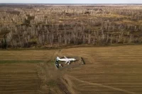 Прокуратура обжаловала решение о возврате дела посадившего самолет в поле пилота