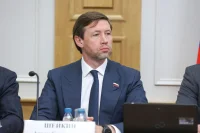 Сенатор Шейкин рассказал о втором пакете мер по борьбе с кибермошенничеством
