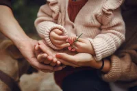 Приемных родителей хотят уравнять в правах и гарантиях с опекунами