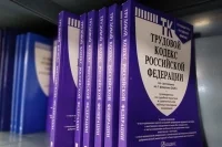 В Трудовой кодекс хотят включить понятия «стажер» и «стажировка»