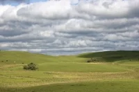 Киргизия и Узбекистан обменялись территориями