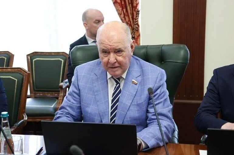 Сенатор Карасин назвал Судан важным партнером России