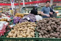 Картошка в России за неделю подорожала на 7,5%