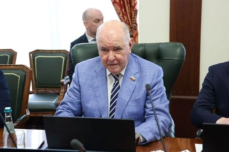 Сенатор Карасин заявил об усилении позиций парламентской дипломатии