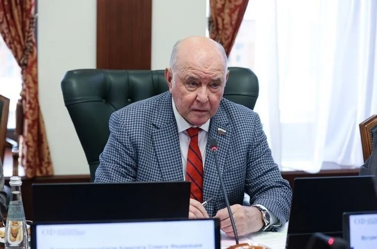 Сенатор Карасин назвал ОБСЕ органом по «нагнетанию враждебности» между странами