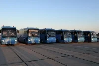 Россия и Украина провели обмен пленными по формуле «160 на 160»