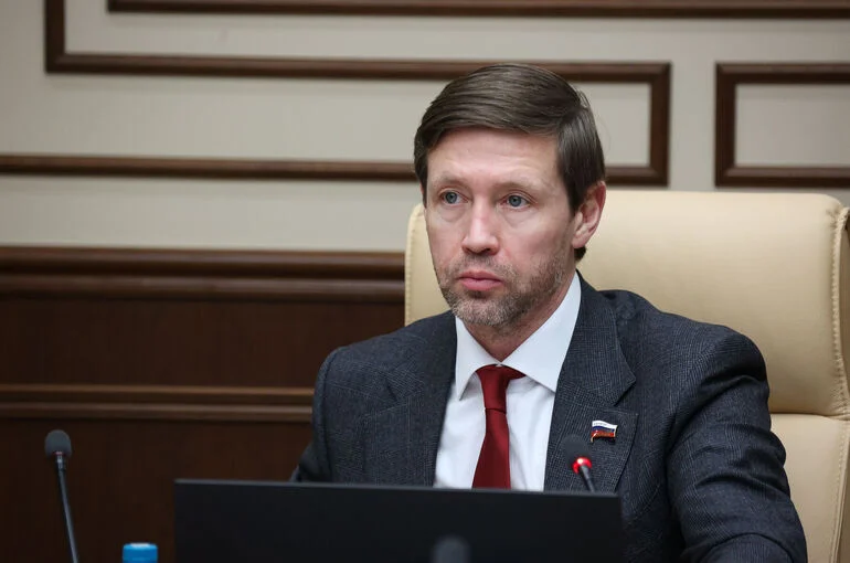 Сенатор Шейкин: Развитие онлайн-голосования должно идти постепенно