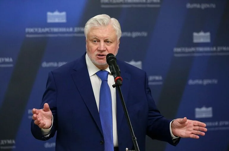 Депутат Миронов предложил для миграционной политики принцип трех «П»
