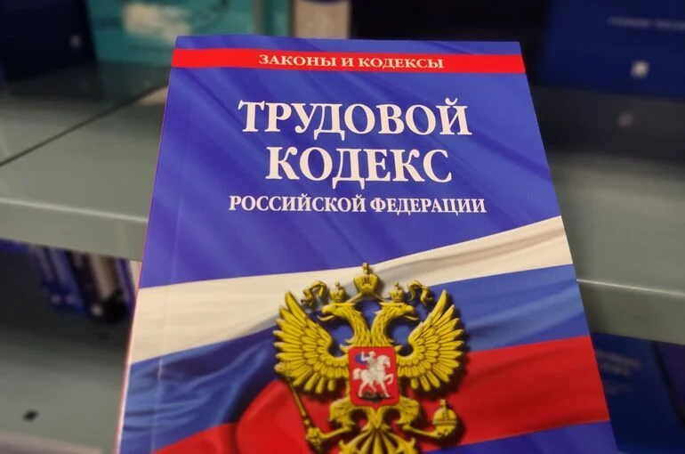 В Трудовой кодекс хотят ввести понятия «стажер» и «стажировка»