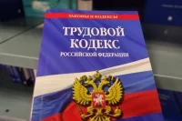 В Трудовой кодекс хотят ввести понятия «стажер» и «стажировка»