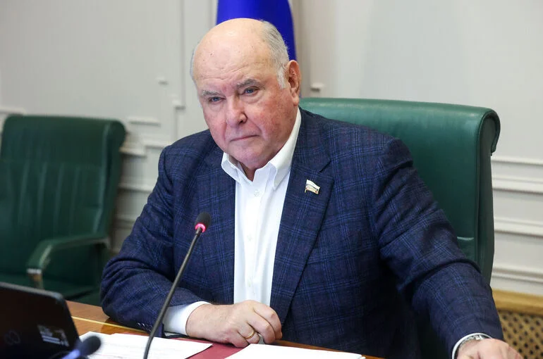 Сенатор Карасин назвал главным итогом саммита НАТО отсутствие скандала