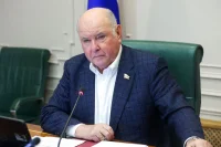 Сенатор Карасин назвал главным итогом саммита НАТО отсутствие скандала