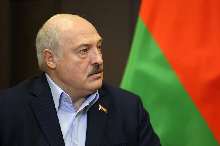 Лукашенко призвал «настойчиво переходить» в Белоруссии на отопление пеллетами