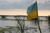 Политолог: Смена правительства на Украине — способ Зеленского сбросить с себя вину